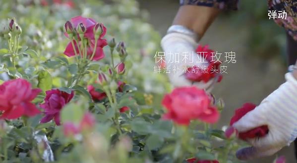 从”蓬松”到”健康蓬松”:弹动洗发水三维技术体系引领洗护行业新变革