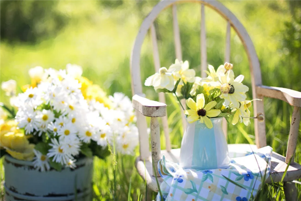 世界首台!自动巡航杂交授粉育种机器人“吉儿”诞生