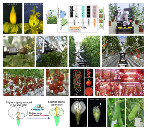 世界首台!自动巡航杂交授粉育种机器人“吉儿”诞生