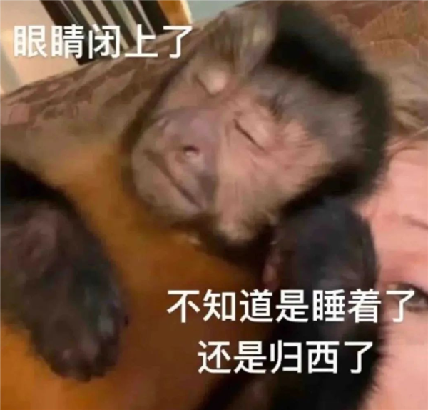 高端化之后 小米有了新的野心