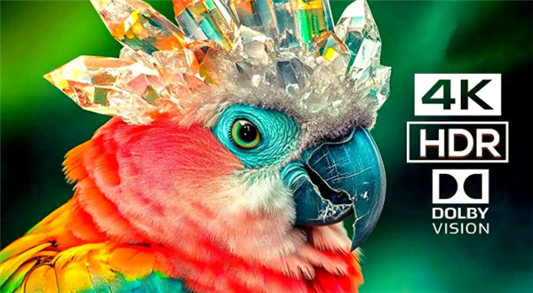 投影仪支持杜比视界重要吗 杜比视界究竟是不是智商税