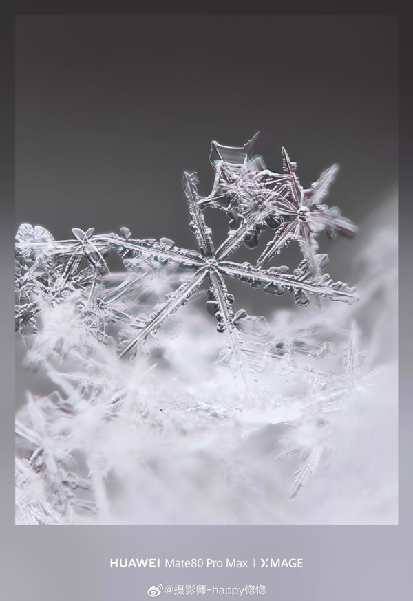 华为Mate80ProMax神了!10倍长焦拍雪花冰晶质感拉满