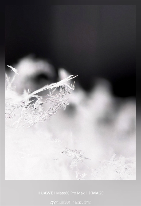 华为Mate80ProMax神了!10倍长焦拍雪花冰晶质感拉满
