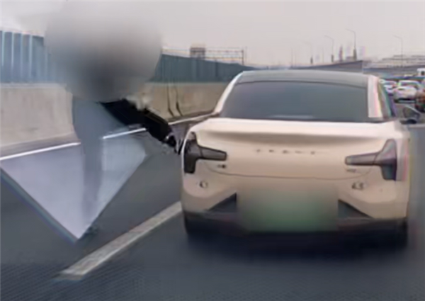 上海高架惊现路怒狂徒!司机因一句吐槽暴怒踹车:被依法行拘