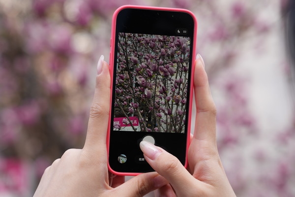 iPhone17e:基础版不基础