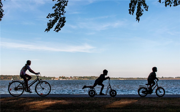 带9岁娃骑车变普法现场黄晓明道歉:已去交警部门接受处罚