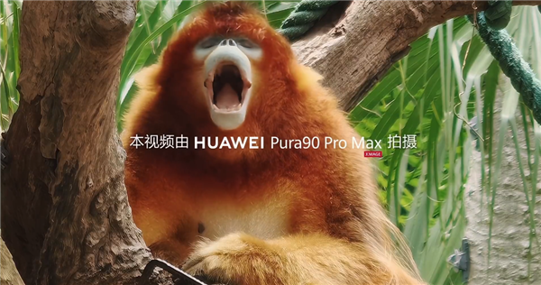 华为Pura90ProMax首次搭载2亿像素长焦:支持20倍长焦视频拍摄