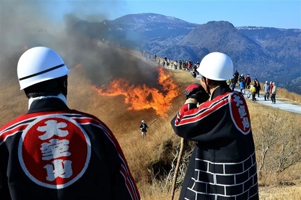 日本这座山不允许长树每年都要烧一次!游客可付费体验