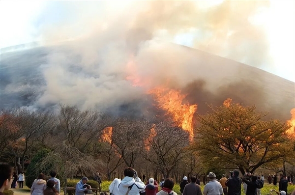 日本这座山不允许长树每年都要烧一次!游客可付费体验
