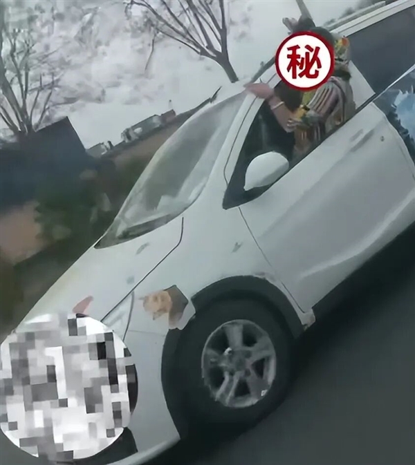 女子开车半个身子探出窗外吓坏旁车!交警回应称该女子存精神异常