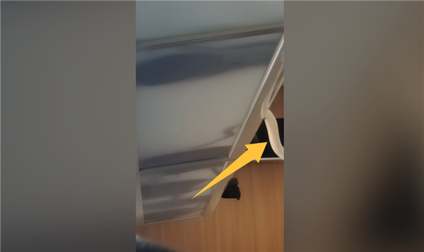 虚惊一场!网传高铁行李架上掉下蛇官方辟谣:其实是鳗鱼