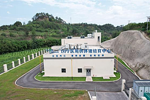 破纪录!我国基因编辑猪肾异种移植患者存活超百日