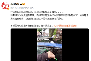 网友发布15秒偷开特斯拉车门教程:无边框玻璃和应急把手位置是硬伤