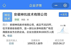 最强国产智驾芯片分拆独立 落户合肥