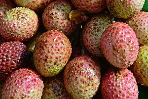 过量食用荔枝或引发“荔枝病”:严重时可导致昏迷