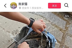 罗马仕充电宝又发生自燃!当事人称“非召回型号”