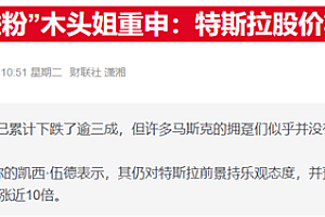 特斯拉暴跌后“木头姐”仍力挺:至少马斯克淡出白宫事务了