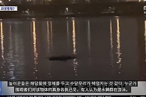 韩国汉江惊现巨型不明物体引恐慌:已有先例 可能又是浮漂