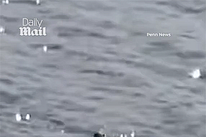 网友怀疑是炒作!再次被拍到的尼斯湖水怪:大概率是只在吃饭的海豹