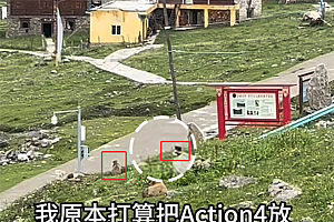 土拨鼠又来叼东西 这次是车钥匙:花3个小时才用磁铁找回