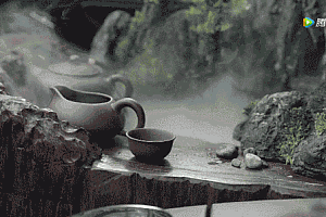 尊界S800车主爆改高明远同款副驾驶:自带茶台、鱼缸和绿植