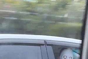 网友称高速有人戴白色恐怖面具吓过路车辆  交警回应来了