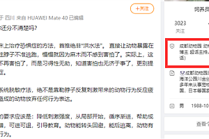 东北虎脱敏训练遇到会功夫的兔子 全程被暴揍“百兽之王”尊严碎一地