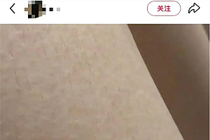 网友在湘西发现“黄金虫”引200万人围观热议!专家科普:金色可能与其鳞片反射特性有关