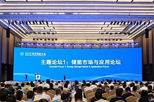 2025WESC|“储能市场与应用”主题论坛在福建宁德成功举办