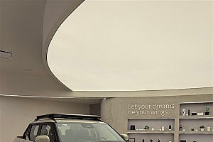 李云飞:比亚迪SHARK皮卡迟早在国内上市 已在规划中