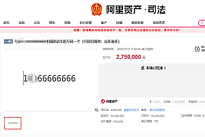 尾号66666666手机号275万成交:4人报名67次出价 超过起拍价75万