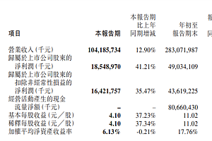每天赚2个亿 卖铲人宁王再封神