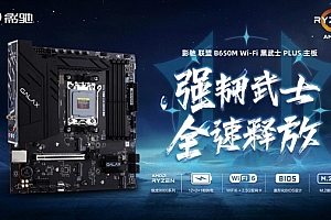 中端装机新方案!影驰联盟 B650M Wi-Fi 黑武士 PLUS 主板评测
