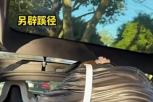 杨天真吐槽特斯拉系统更新打不开车门 只能从后备箱爬进去