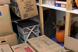 “屎漫金山”!宝可梦卡牌收藏家因水管爆裂痛失数千美元