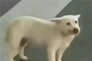 两年关掉6000家店再重开 名创优品疯了吗