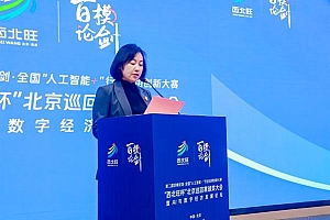 第二届百模论剑·全国“人工智能+”行业应用创新大赛“西北旺杯”北京巡回赛落幕