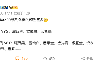 11月发布!华为Mate 80系列备案配色出炉:黑、白、紫、金、银全都有