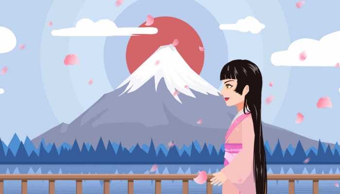 全面了解日本服务器注册费用,一篇文章解答您的疑惑 (全面了解日本第一书)-虎跃云资讯网