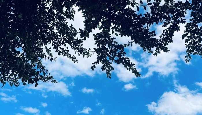 元旦假期第1天湖南最高气温升至22℃左右 最后2天雨水上线