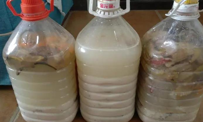 快制止!中小学生流行养臭水 专家:这种行为很危险 第1张 快制止!中小学生流行养臭水 专家:这种行为很危险 第1张