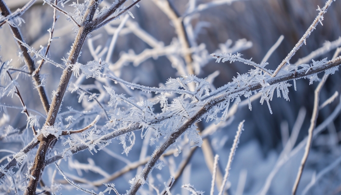 寒潮将影响我国大部 四川陕西等地局地大暴雪