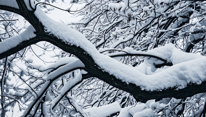 立春时节雨雪交加 冷空气再现：暴雨暴雪齐至