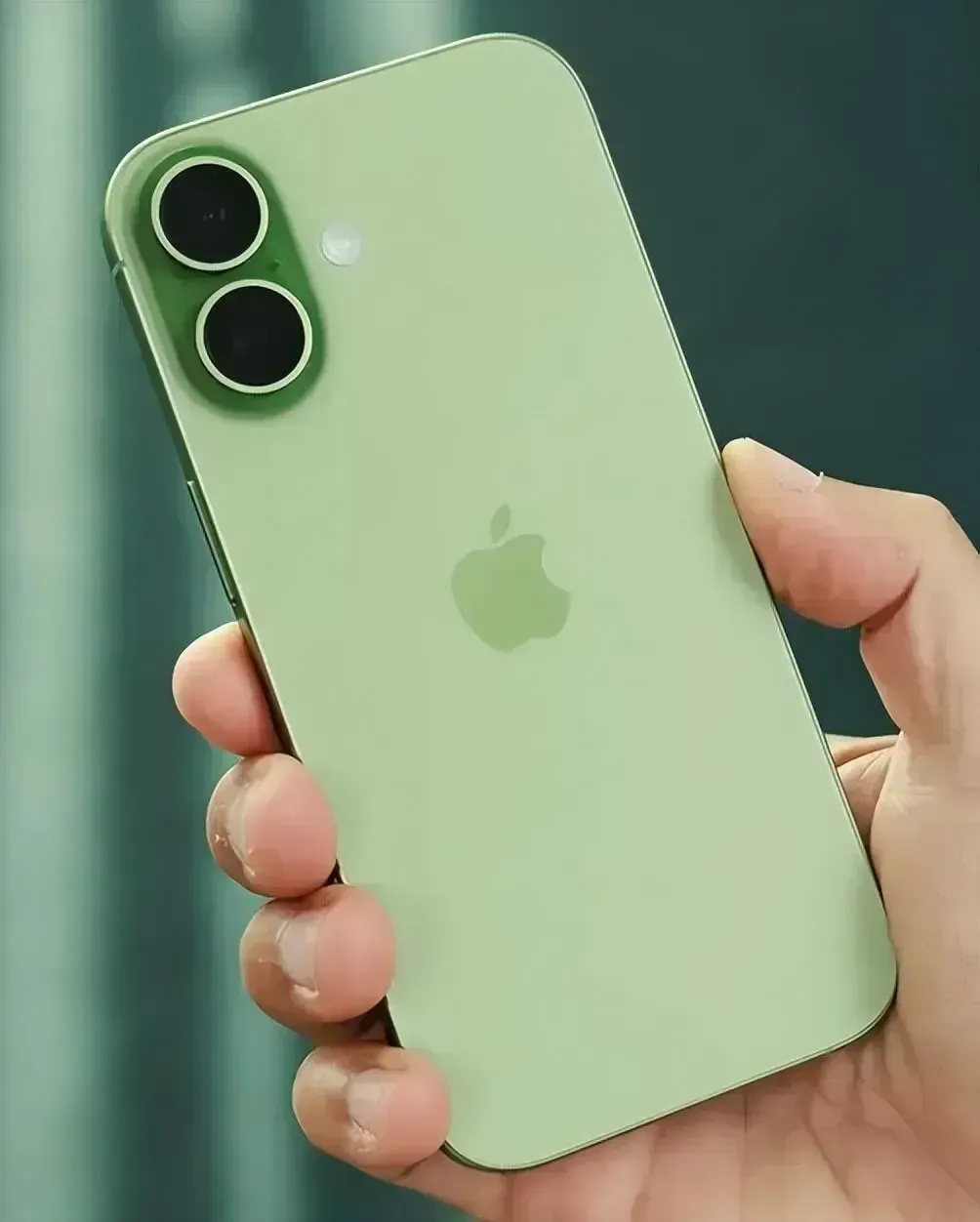 640-78 2026年最值得买的4款手机:不吹参数,只讲真实体验