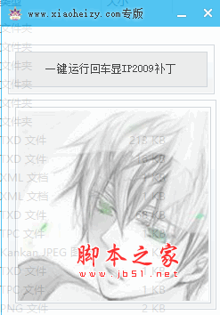 QQ一键运行回车显IP2009补丁 V1.0.1 绿色中文免费版