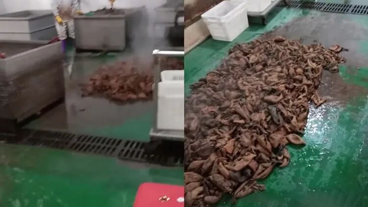 640-58 26.9 亿天价索赔!网红鹿哈彻底崩了:靠模仿鹿晗赚上亿,翻车就装穷