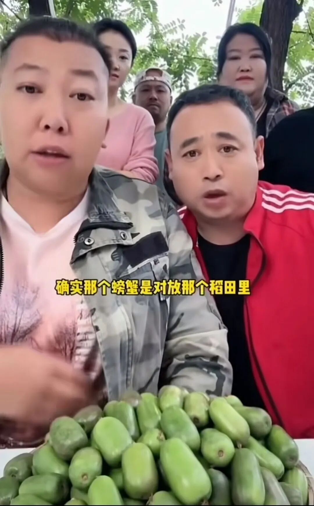 640-196 网红摆拍彻底翻车!消耗大众善意换流量,终究把自己玩凉了