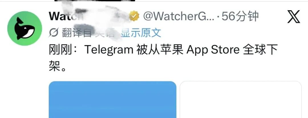 640-8 突发!Telegram 遭苹果全球下架,官方回应