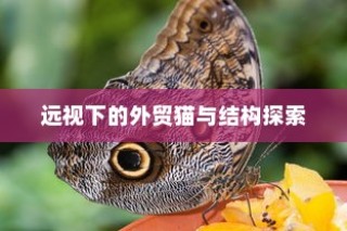 电车转速表的核心价值，探究其重要性、背后原因与功能意义