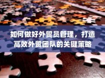 高效外贸团队建设的核心策略，外贸员管理与团队效能提升之道